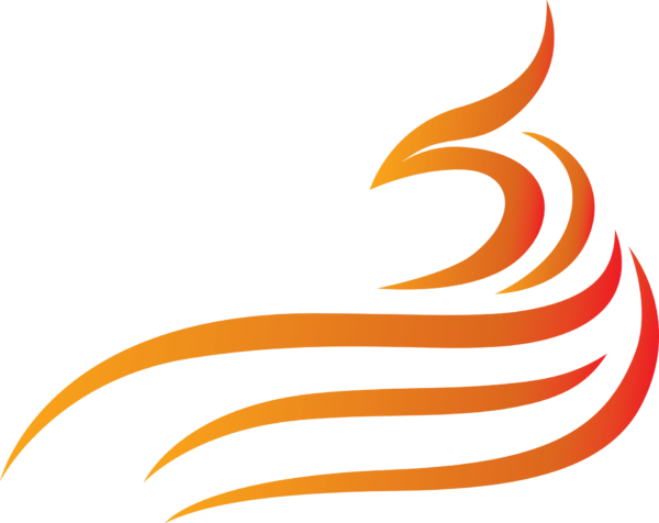IRIS IT Logo Image